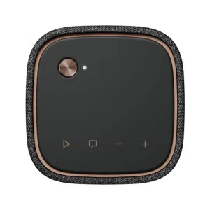 Officielle Yamaha Enceinte Bluetooth WS-B1A CGY 9