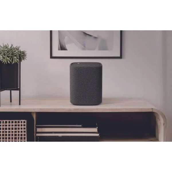Officielle Yamaha Enceinte Bluetooth WS-B1A CGY 6
