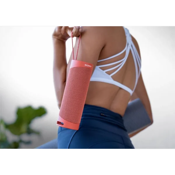 haute qualité SONY SRSXB23L Enceinte Bluetooth – Autonomie 12h – Splash Proof – Bleu 6
